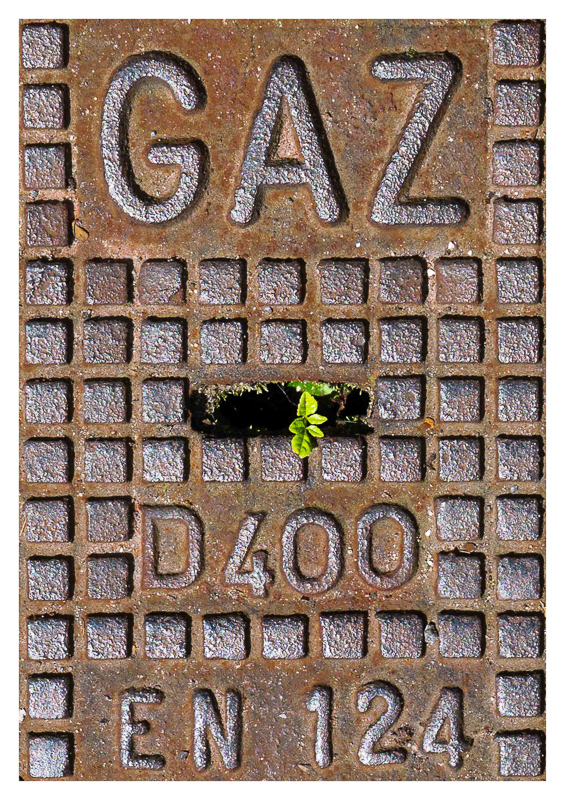 291117