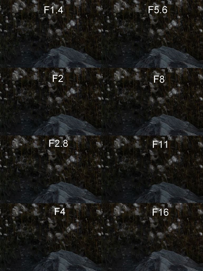313649