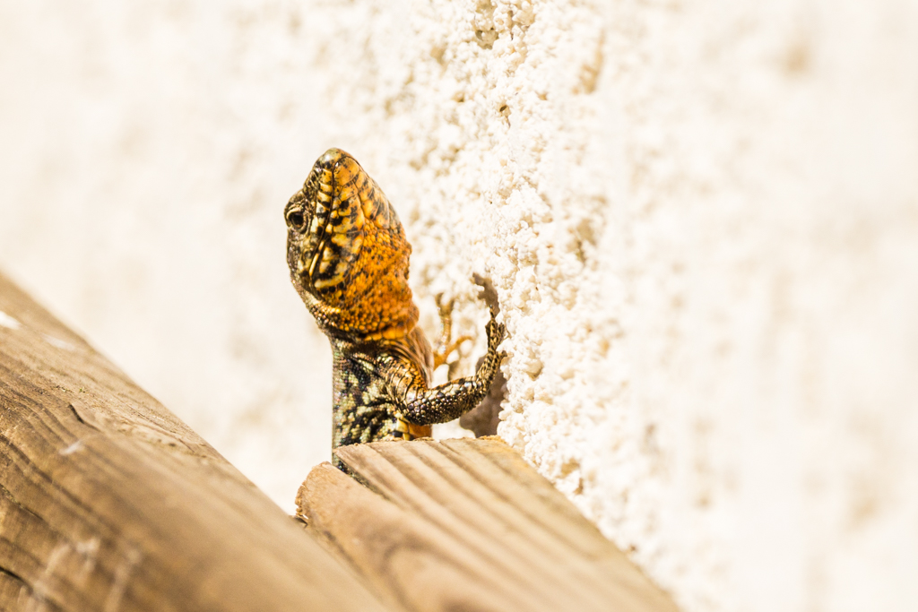 320820