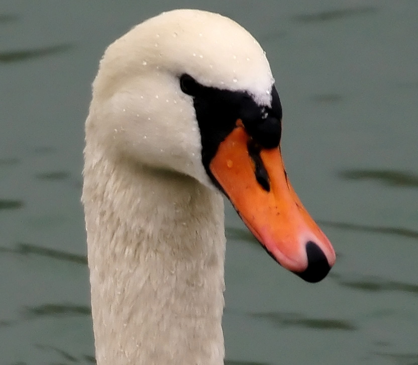 33725