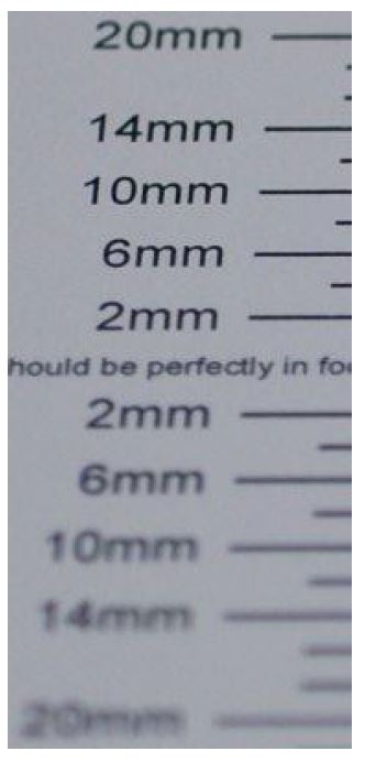 342503