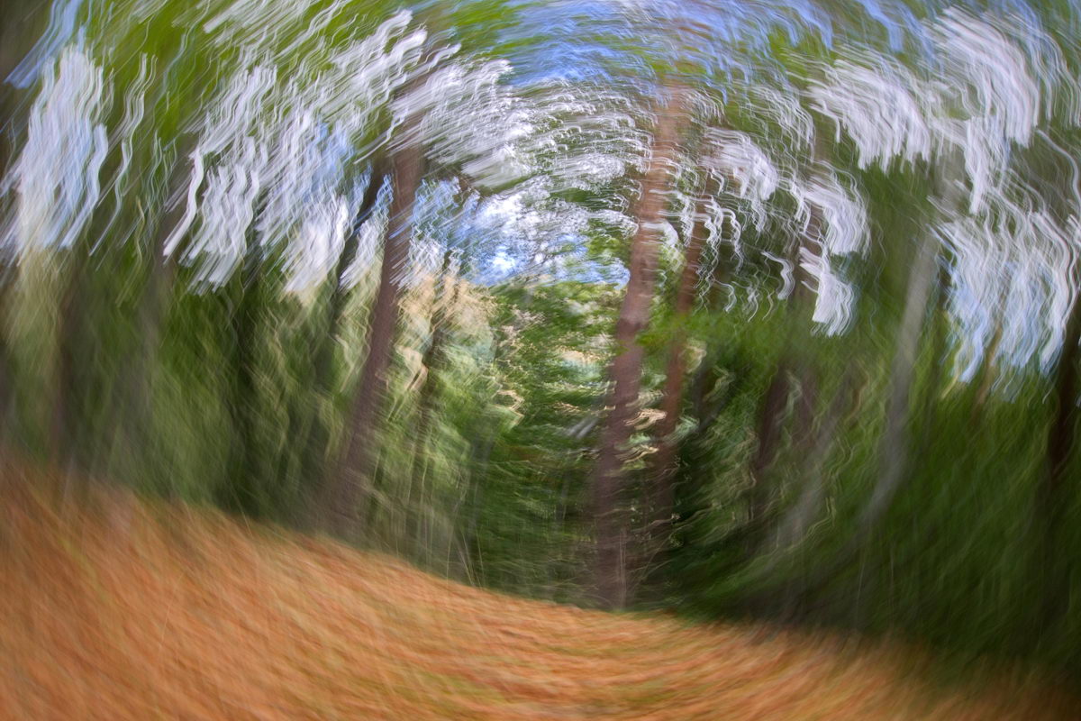 345002