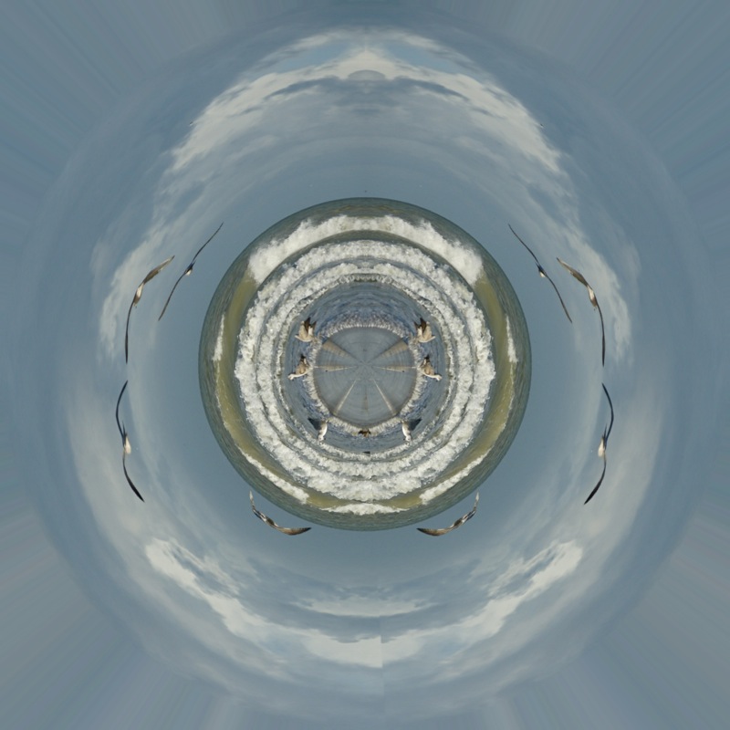 36008