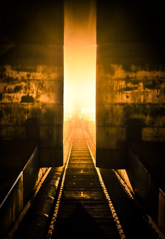 36287