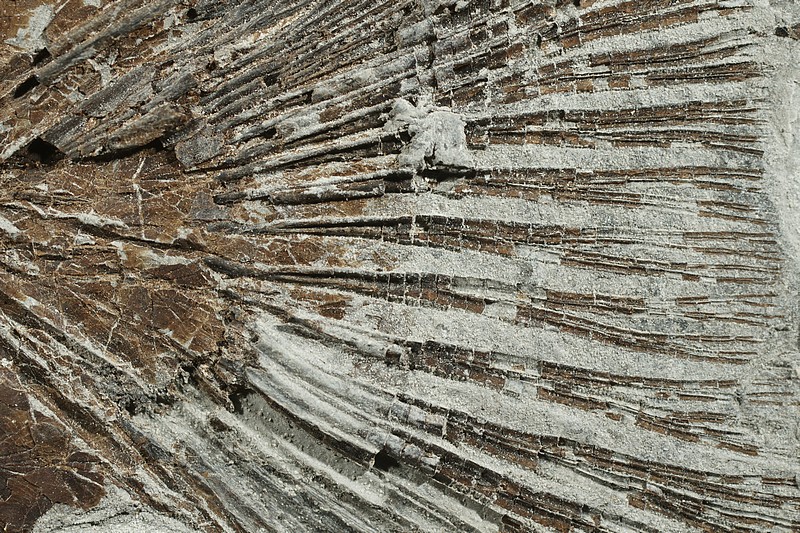 37230