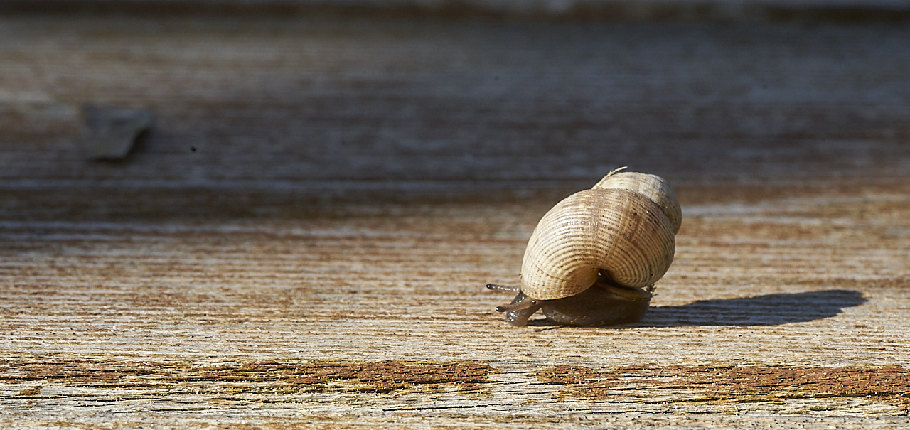 373204