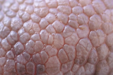 3814