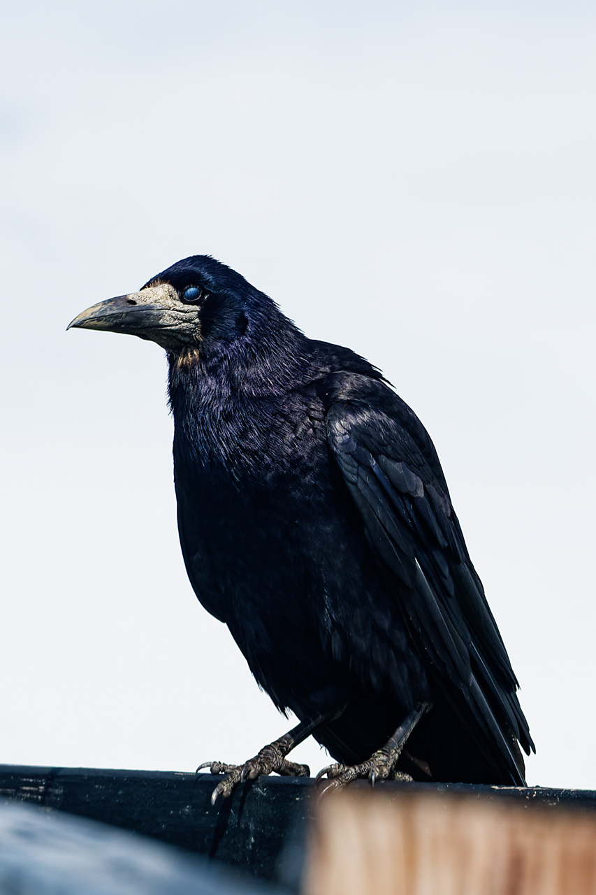 385318