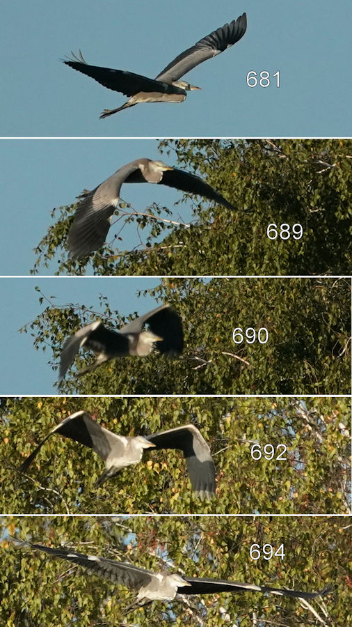 387194