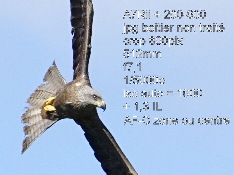 387293