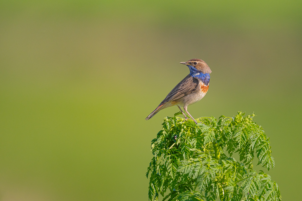392967
