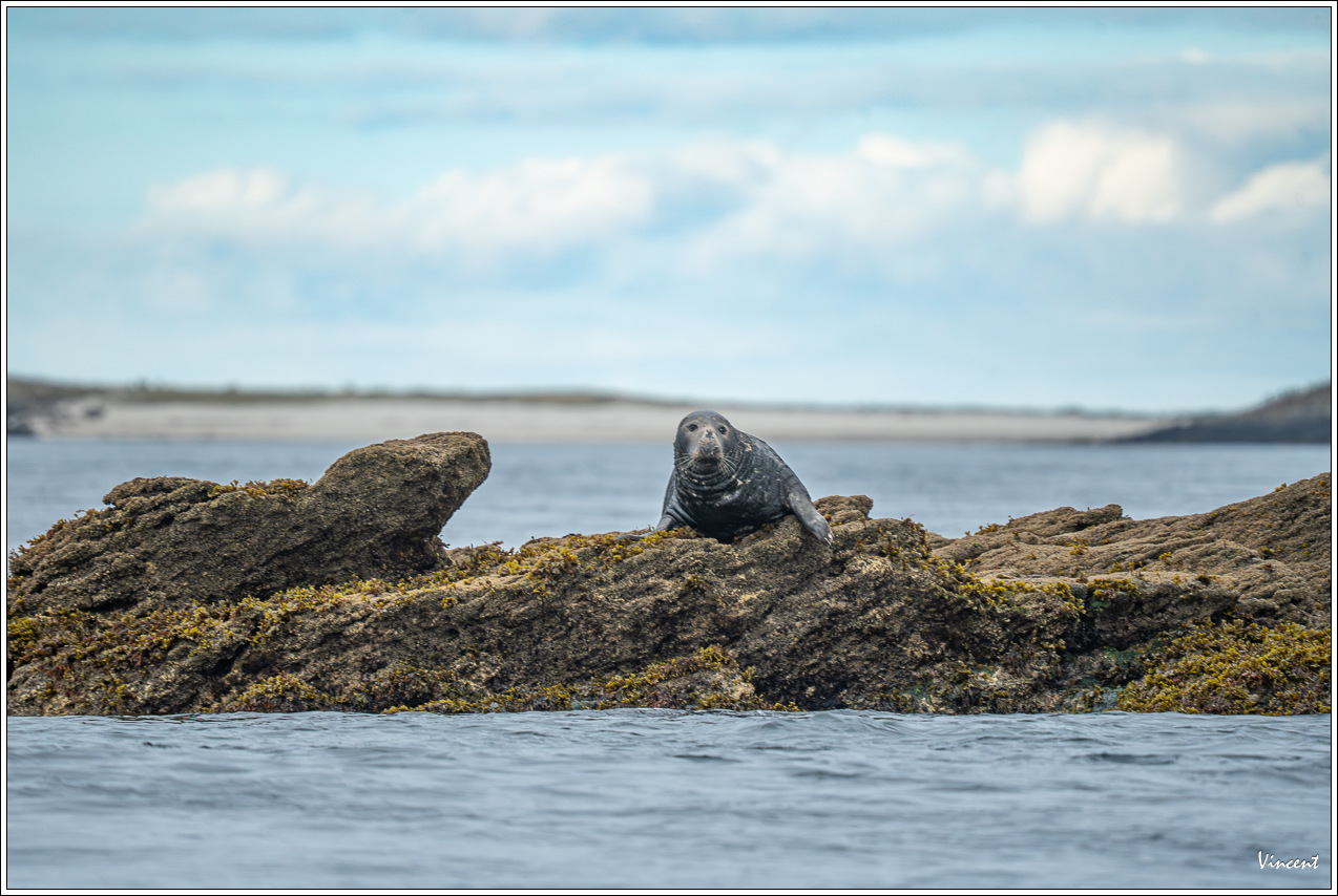 393303