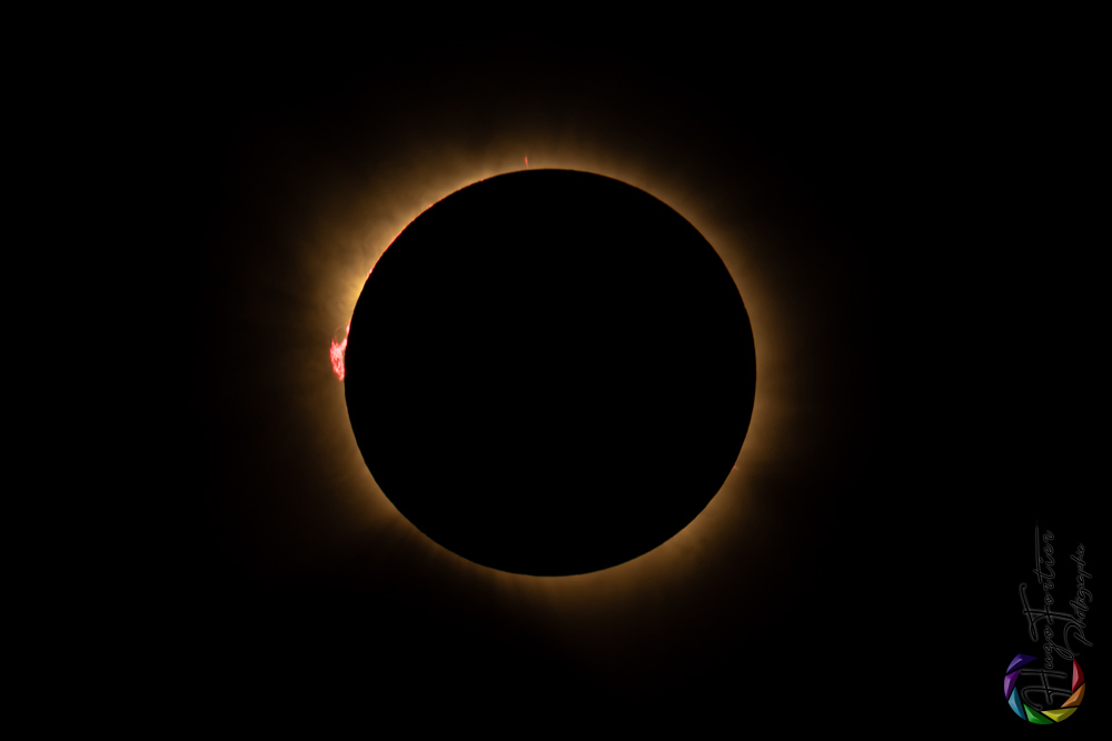 393655