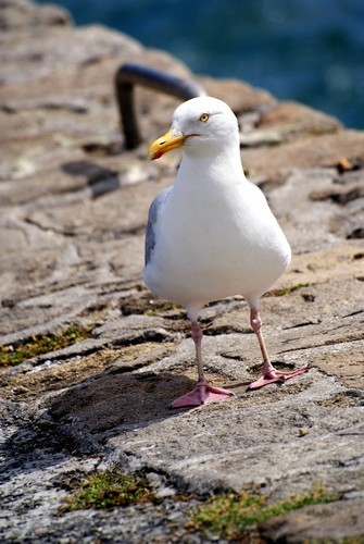 4328