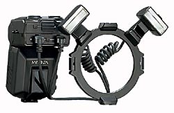 45236