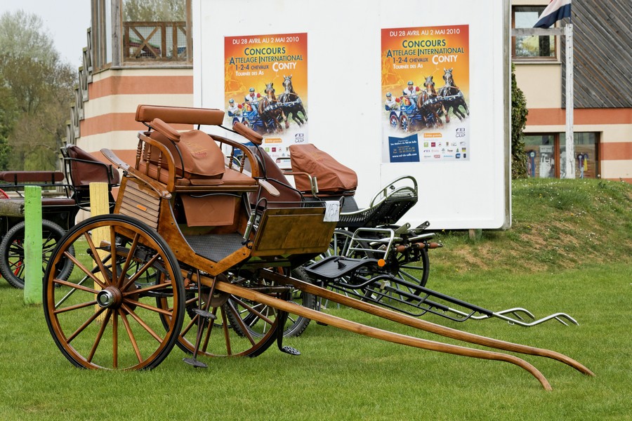 46036