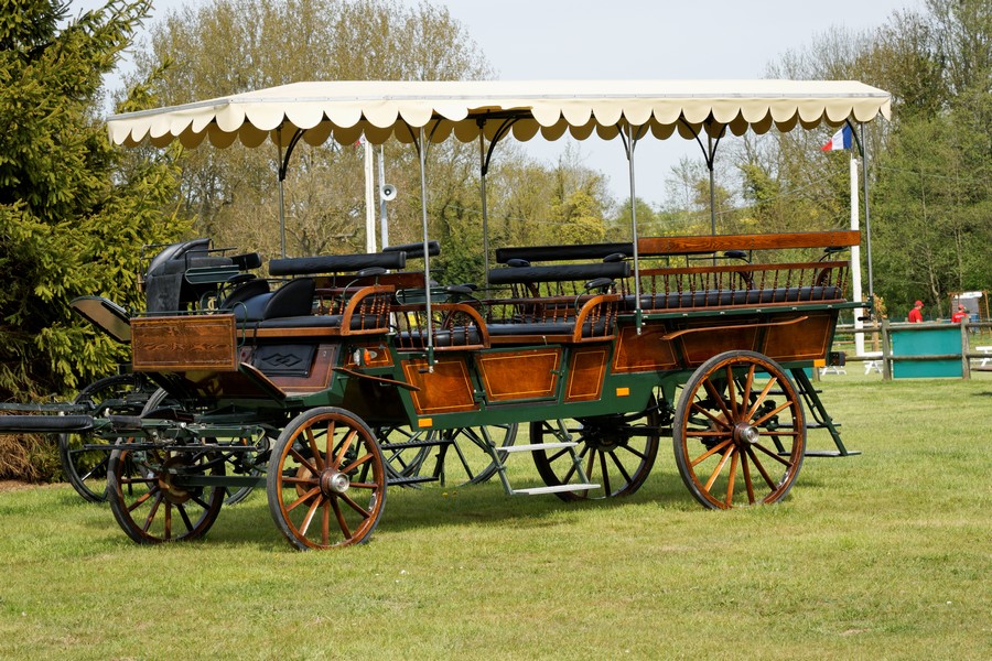 46037