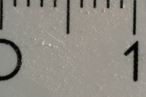 4634