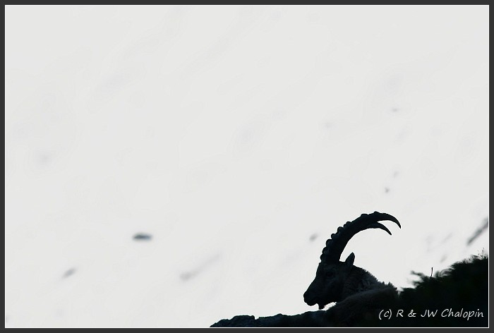 48576