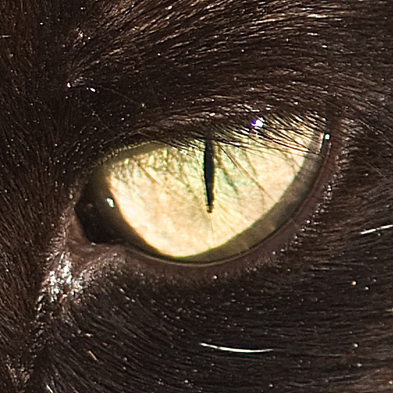 5109