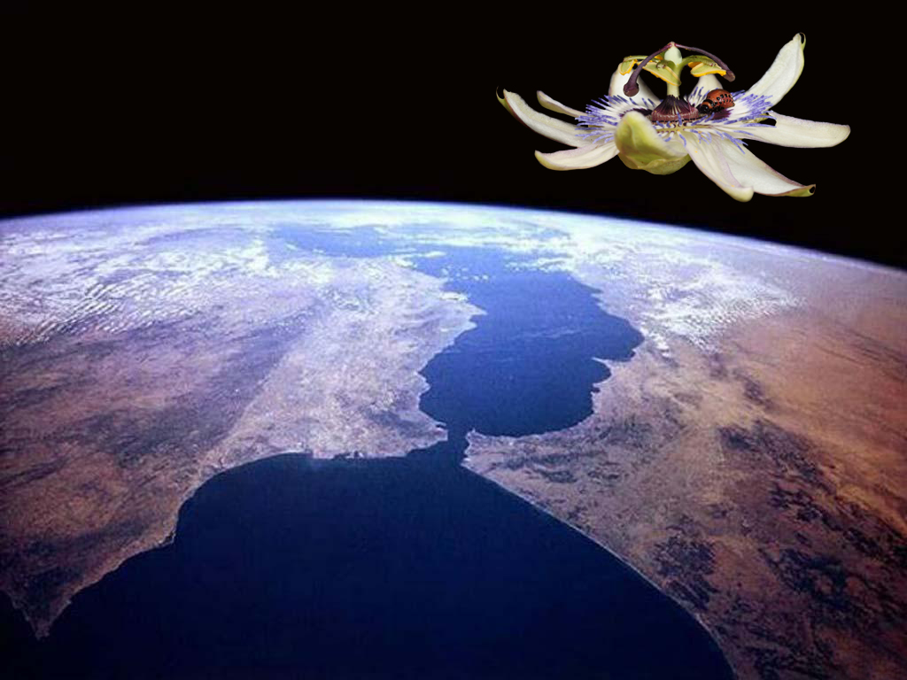 52440