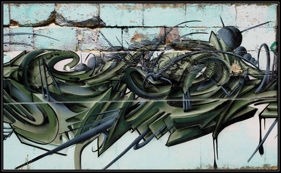 529