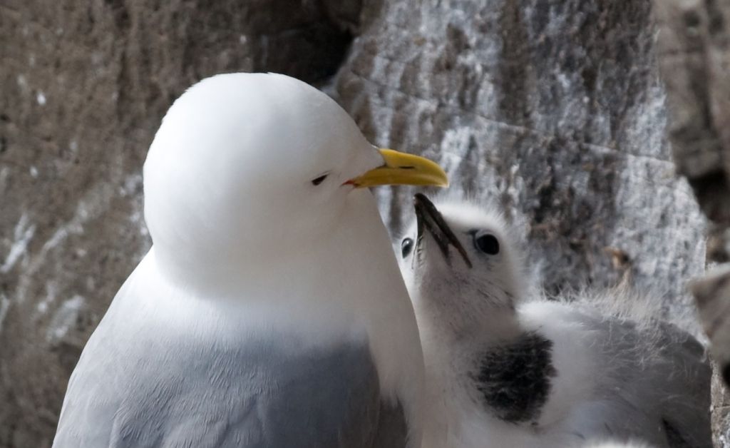 53796
