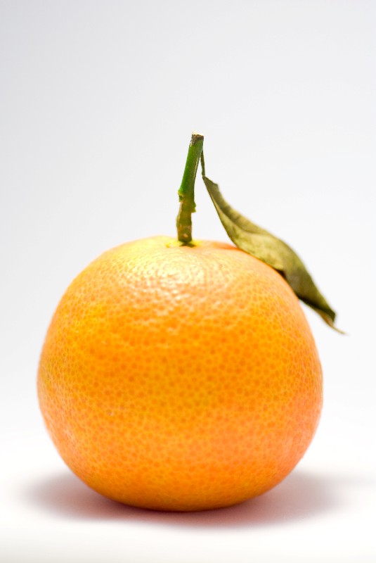 5425
