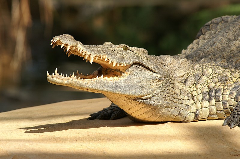 5502