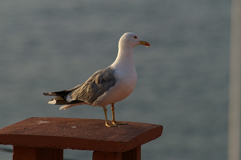 5799