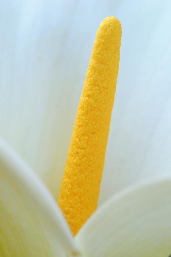58014