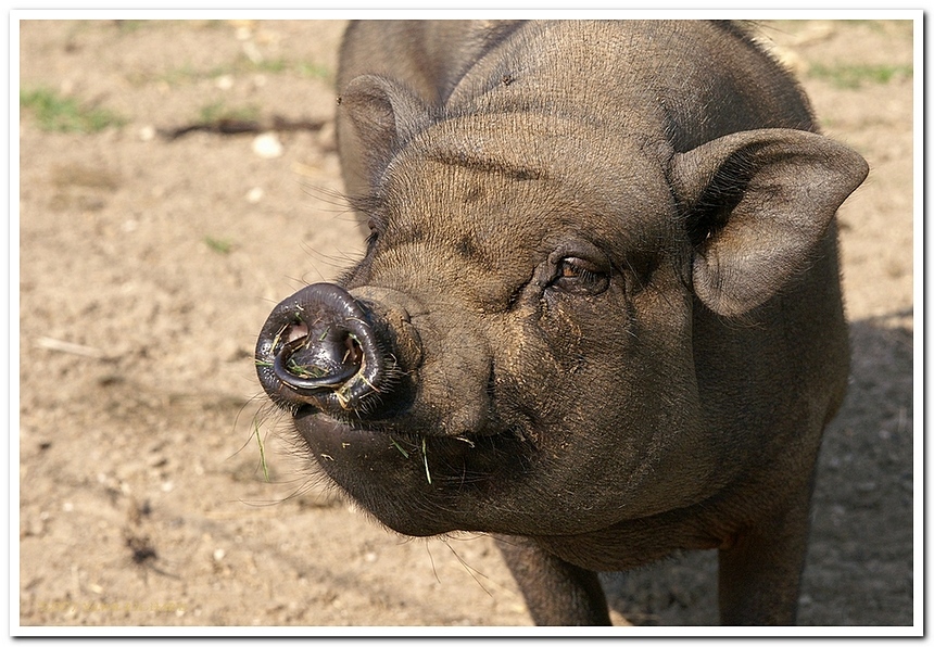 60898
