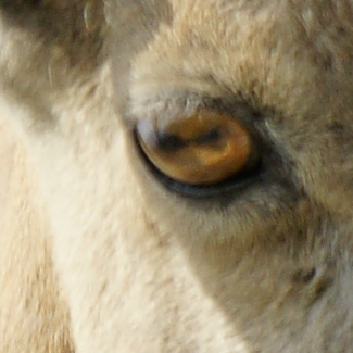 61696