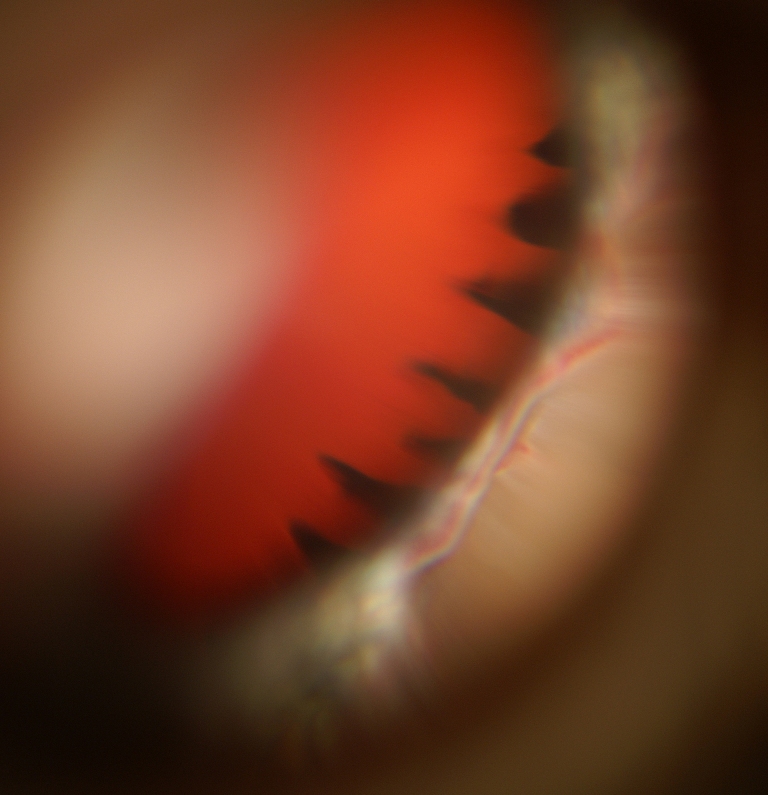 64905