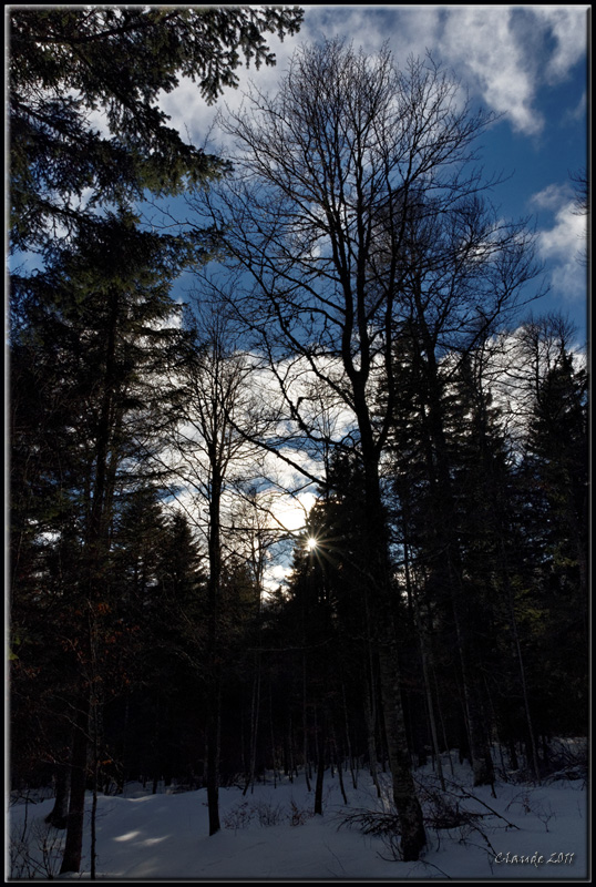 65661