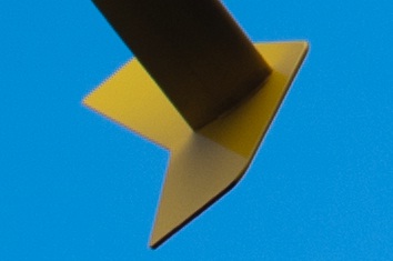 66461