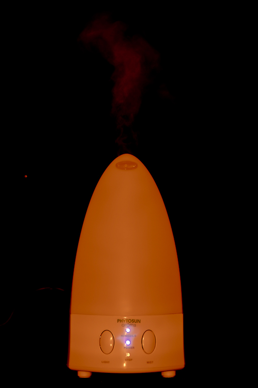 66683
