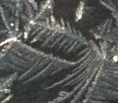 67372