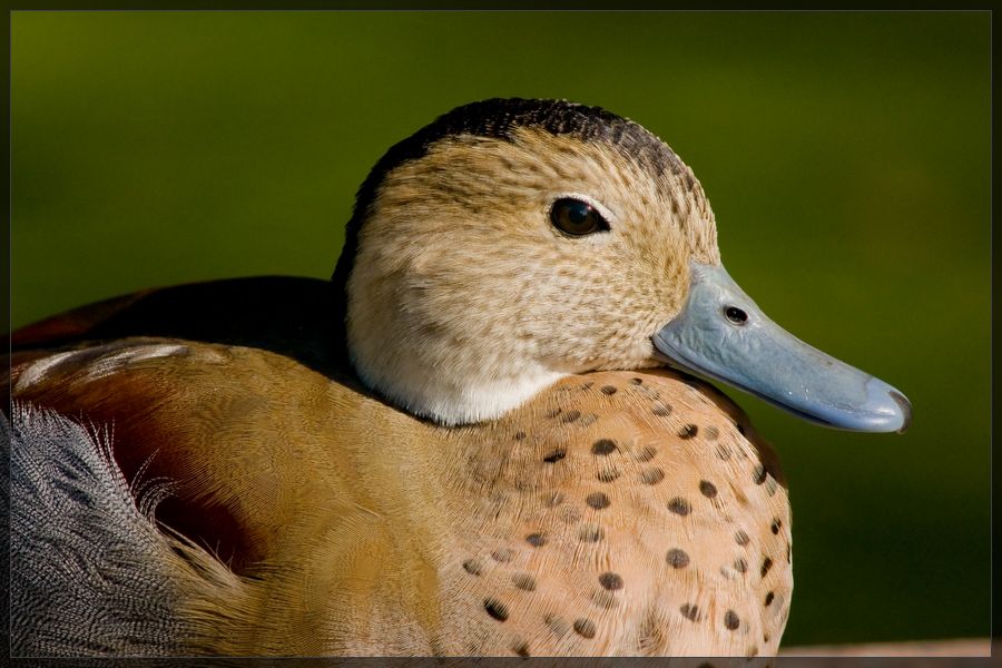 6928