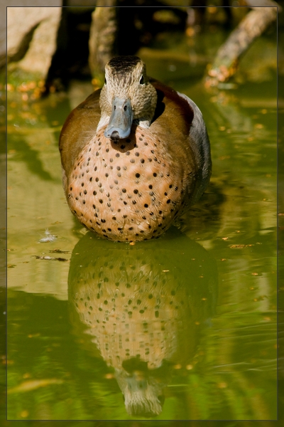 6929