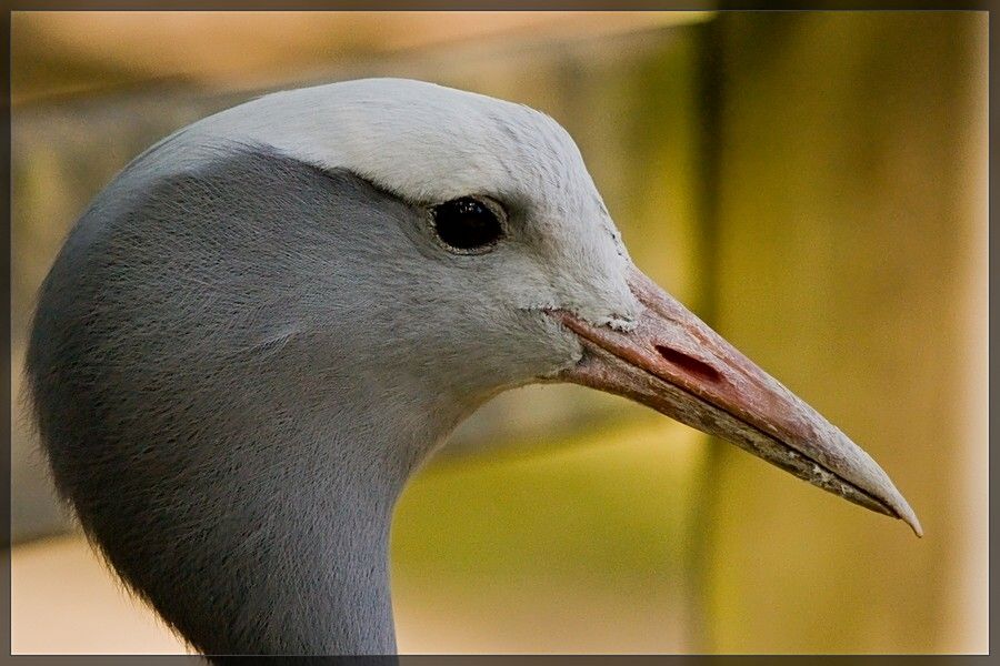 6930