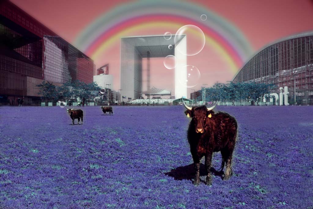 69747