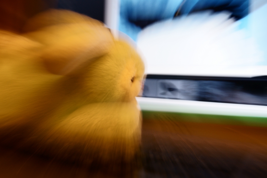 71229