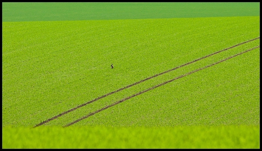 72388