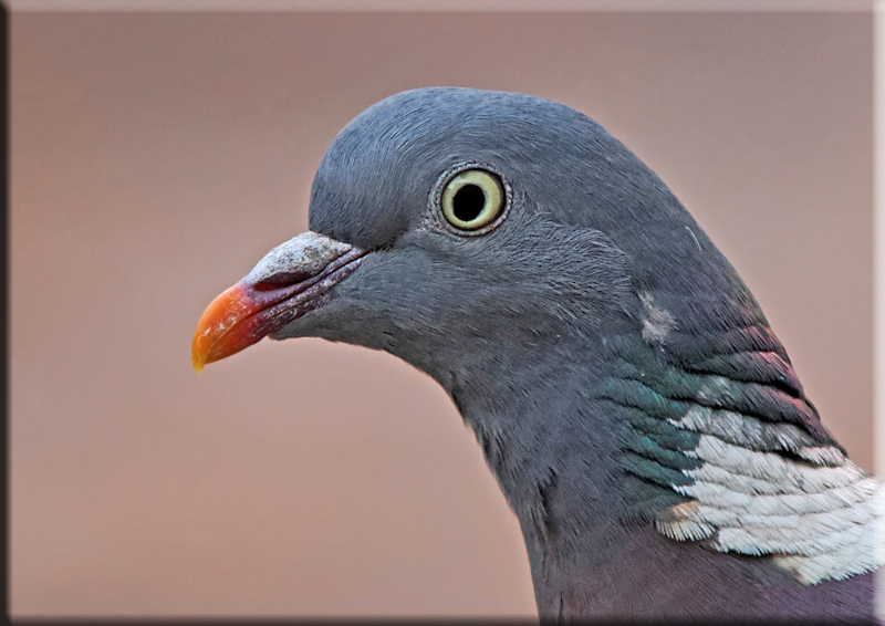 73198
