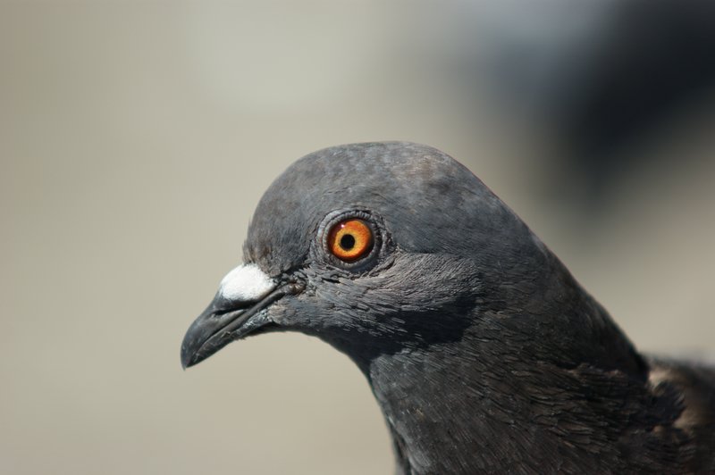 7690