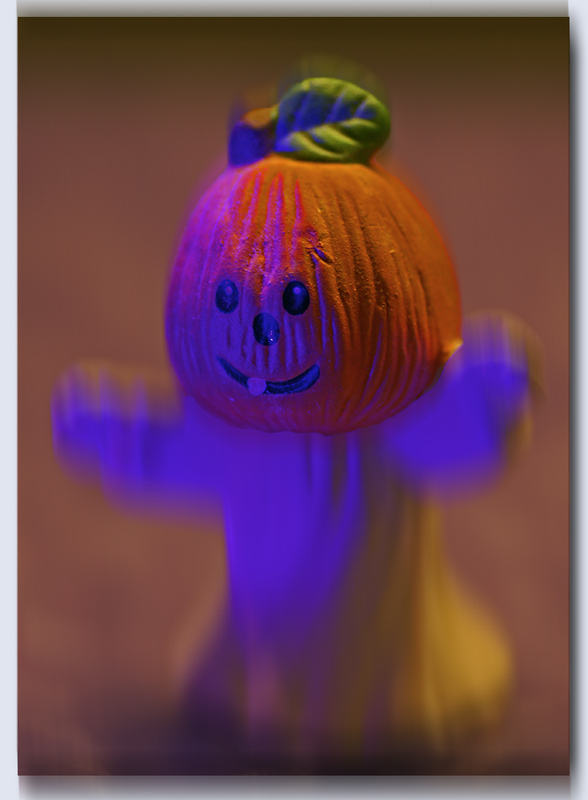 79668