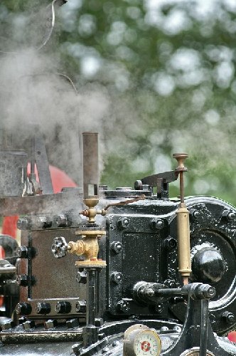 8146