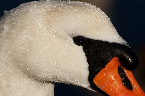 8220