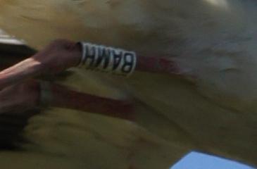 86414
